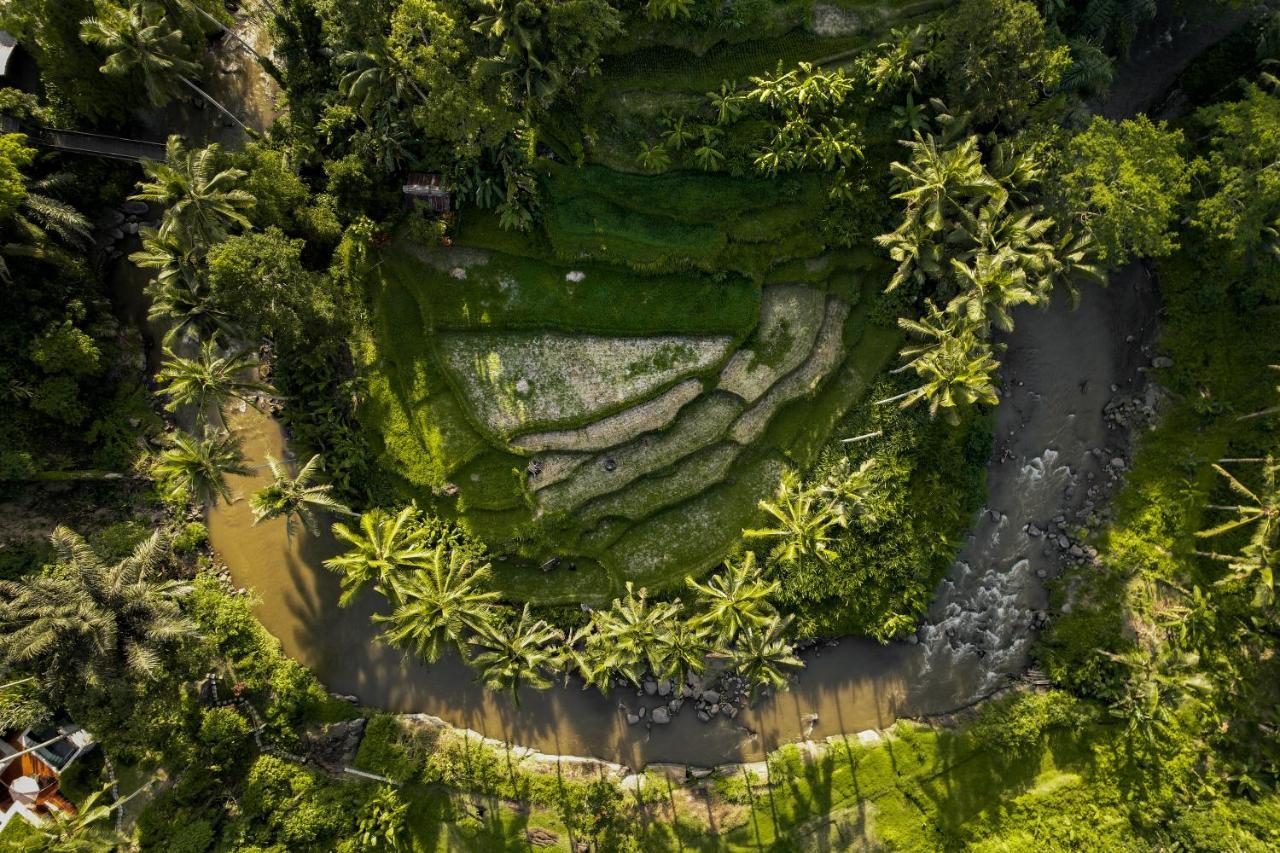 The Ridge Bali Villa Ubud Esterno foto